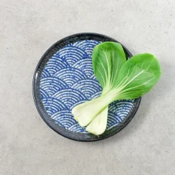 Blue Wave Medium Plate, 22cm
