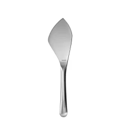 Polished Stainless Steel Hard Cheese Knife