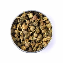 Terre Exotique Passion Berry, 25g