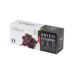Veritable Asian Lingot Insert, Organic Red Shiso